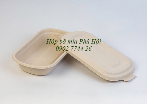 Hộp bã mía 1 ngăn kèm nắp bã mía 700ml