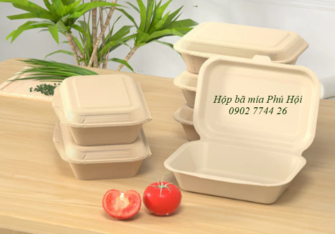 Hộp bã mía 1 ngăn nắp liền 450ml