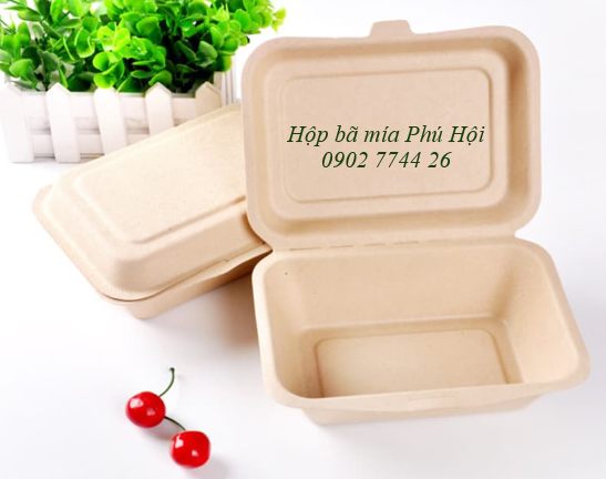 Hộp bã mía 1 ngăn nắp liền 750ml