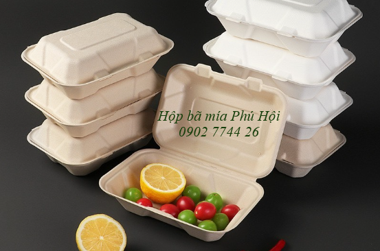 Hộp bã mía 1 ngăn nắp liền 750ml