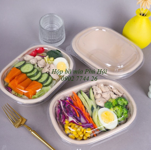hộp bã mía 1 ngăn to nắp nhựa PET 850ml