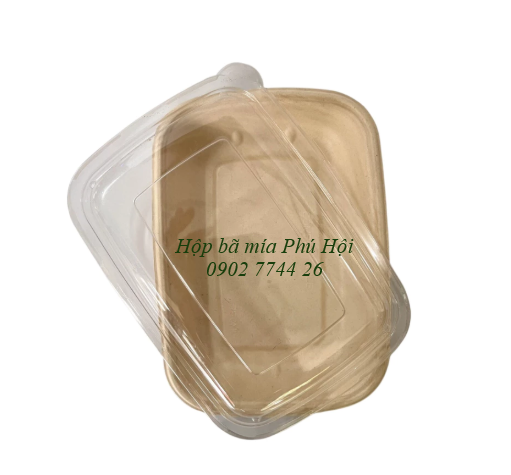 hộp bã mía 1 ngăn to nắp nhựa PET 850ml