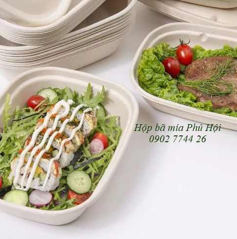 hộp bã mía 1 ngăn to nắp nhựa PET 850ml