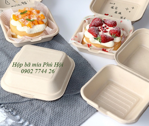 Hộp bã mía vuông hamburger