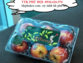 HỘP ĐỰNG TRÁI CÂY