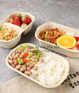 Hộp bã mía đựng cơm tại quận 1, quận 2, quận 3 TpHCM