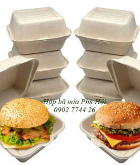 Hộp bã mía đựng hamburger tại quận 10, quận 11, quận 12 TP HCM