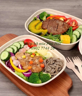 Hộp bã mía tại quận Gò Vấp, Phú Nhuận, Tân Phú TP.HCM