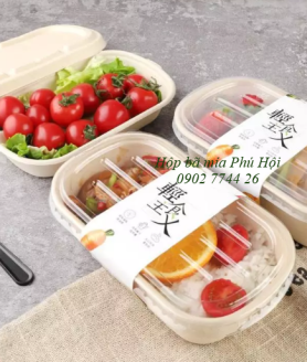 Hộp bã mía tại TP Biên Hòa, TP Long Khánh, Đồng Nai