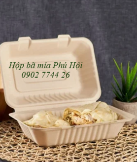 Hộp bã mía tại TP Cao Lãnh, TP Sa Đéc, Đồng Tháp