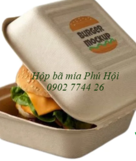 Hộp bã mía tại TP Hồ Chí Minh, TP Cần Thơ