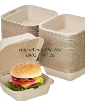 Hộp bã mía tại TP Sóc Trăng, TP Bạc Liêu, TP Cà Mau