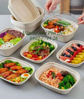 Hộp bã mía tại TP Tân An, Long An, Mỹ Tho, Tiền Giang, Bến Tre