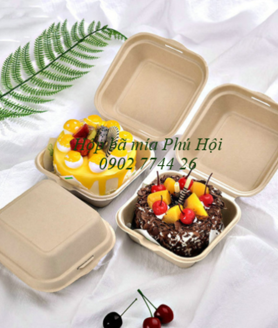 Hộp bã mía tại TP Thanh Hóa, TP Vinh, Nghệ An, TP Hà Tĩnh
