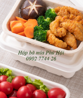 Hộp bã mía tại TP Tuy Hòa, Phú Yên, TP Nha Trang