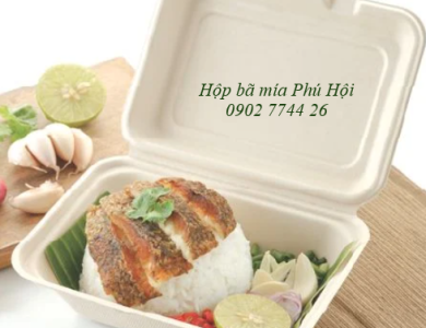 Hộp bã mía 1 ngăn đựng cơm