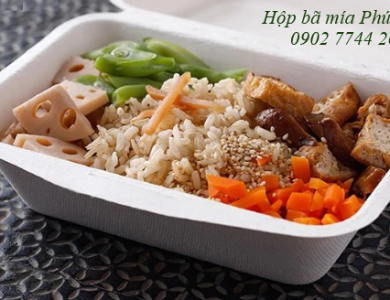 Hộp bã mía 1 ngăn đựng cơm