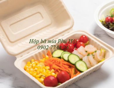 Hộp bã mía 1 ngăn đựng cơm