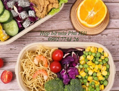 Hộp bã mía 1 ngăn đựng cơm