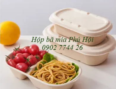 Hộp bã mía 2 ngăn đựng cơm