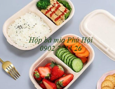 Hộp bã mía 2 ngăn đựng cơm