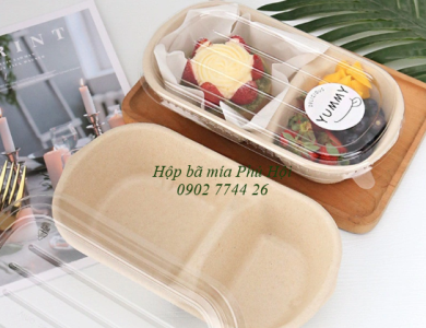 Hộp bã mía 2 ngăn đựng cơm