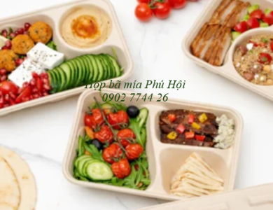 Hộp bã mía 3 ngăn đựng cơm
