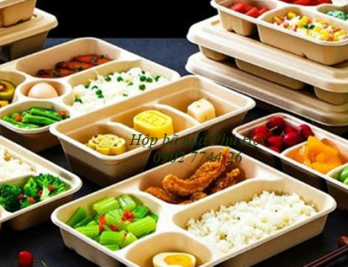 Hộp bã mía 4 ngăn đựng cơm