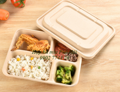 Hộp bã mía 4 ngăn đựng cơm