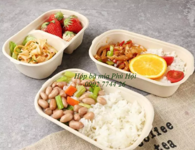 Hộp bã mía đựng bún