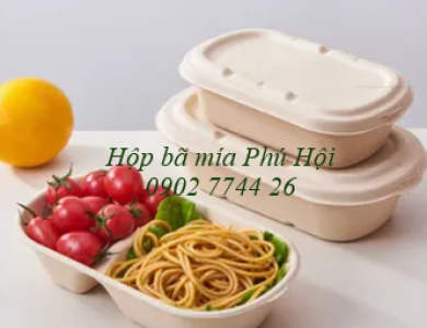 Hộp bã mía đựng bún