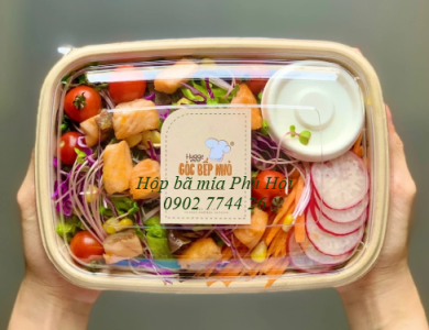 Hộp bã mía đựng phở