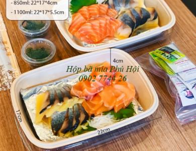 Hộp bã mía đựng phở