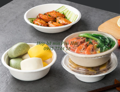 Hộp bã mía đựng phở