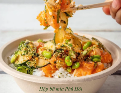 Hộp bã mía đựng phở