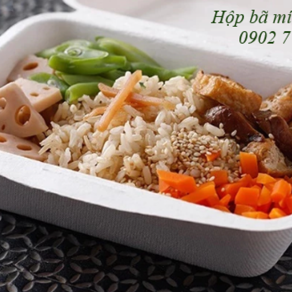 Hộp bã mía 1 ngăn đựng cơm