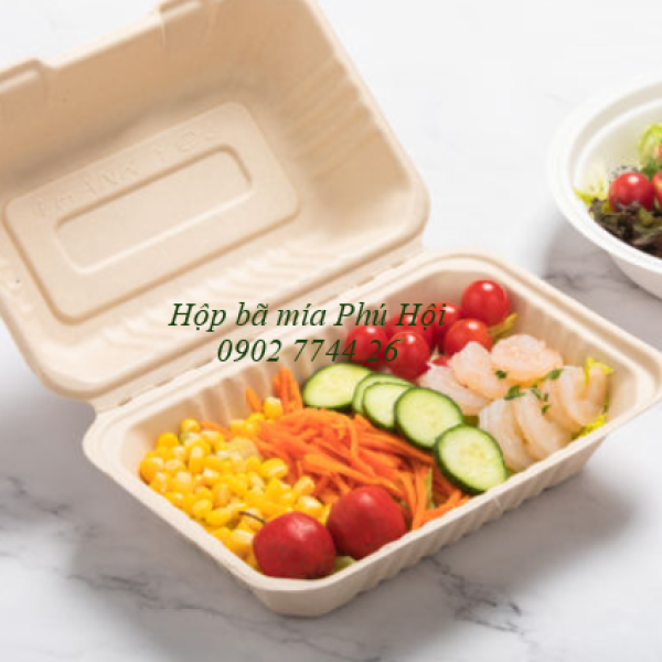 Hộp bã mía 1 ngăn đựng cơm