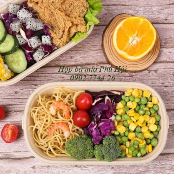 Hộp bã mía 1 ngăn đựng cơm