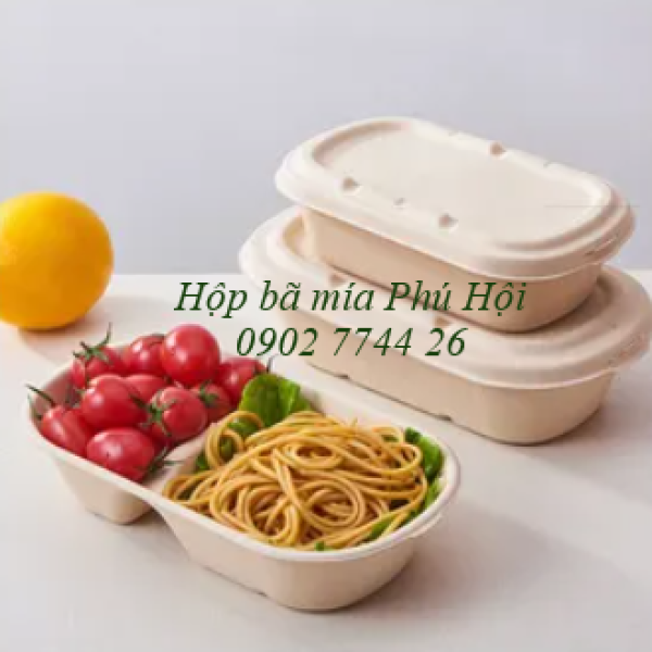 Hộp bã mía 2 ngăn đựng cơm
