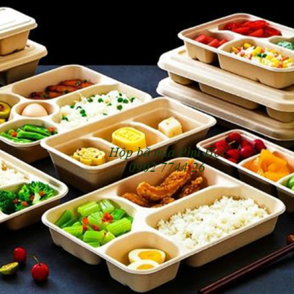 Hộp bã mía 4 ngăn đựng cơm