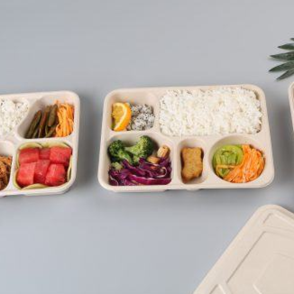 Hộp bã mía 4 ngăn đựng cơm