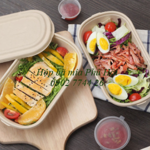 Hộp bã mía đựng bún