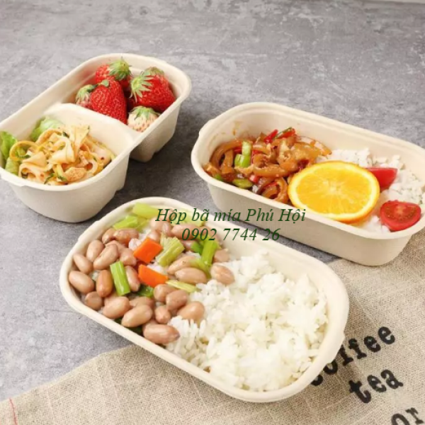 Hộp bã mía đựng bún