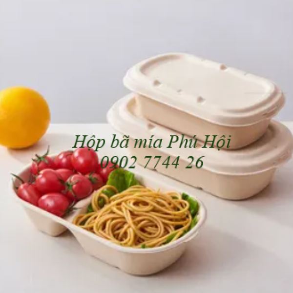 Hộp bã mía đựng bún