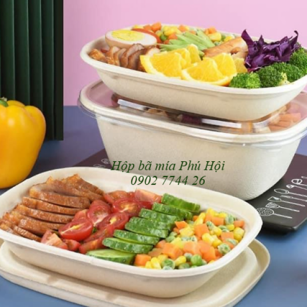 Hộp bã mía đựng mì xào