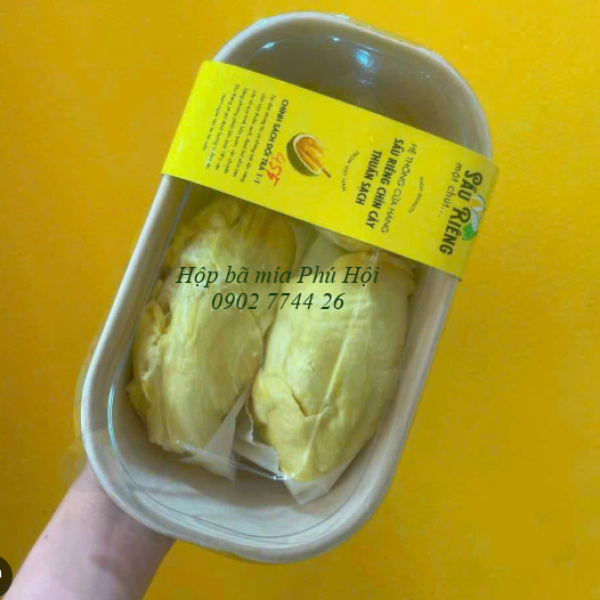 Hộp bã mía đựng mì xào