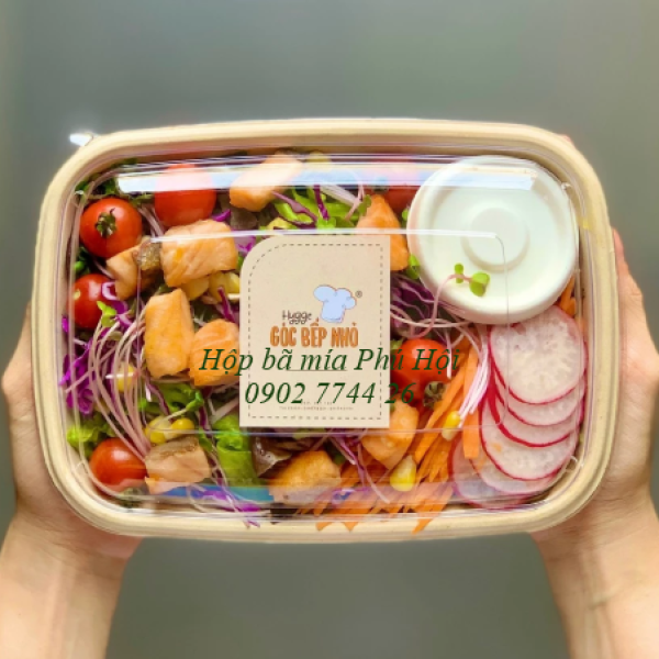 Hộp bã mía đựng phở