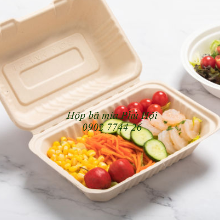 Hộp bã mía 1 ngăn đựng cơm