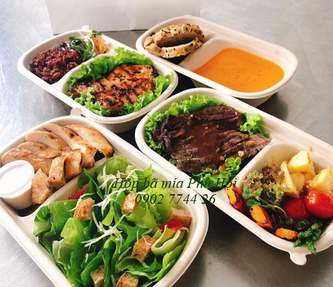 Hộp bã mía 2 ngăn đựng cơm