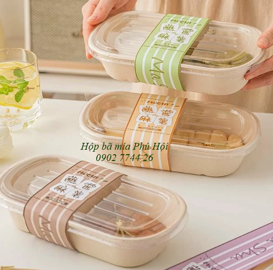 Hộp bã mía 2 ngăn đựng cơm
